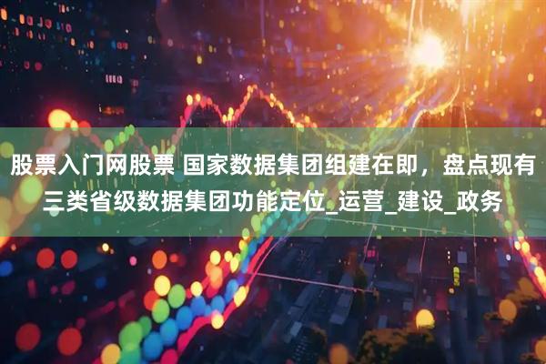 股票入门网股票 国家数据集团组建在即，盘点现有三类省级数据集团功能定位_运营_建设_政务