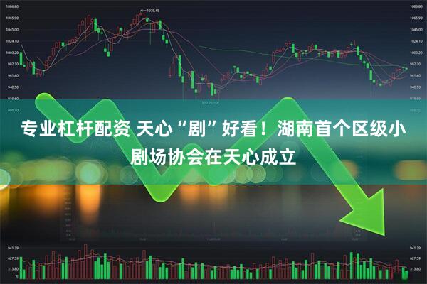 专业杠杆配资 天心“剧”好看！湖南首个区级小剧场协会在天心成立